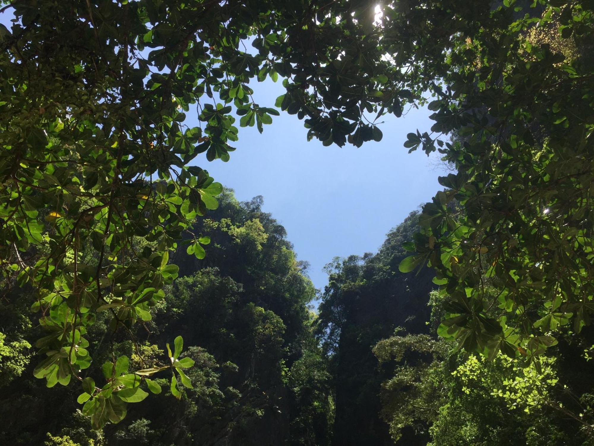 Mookboonchu Guesthouse ,Kohmook Trang 班柯木 外观 照片